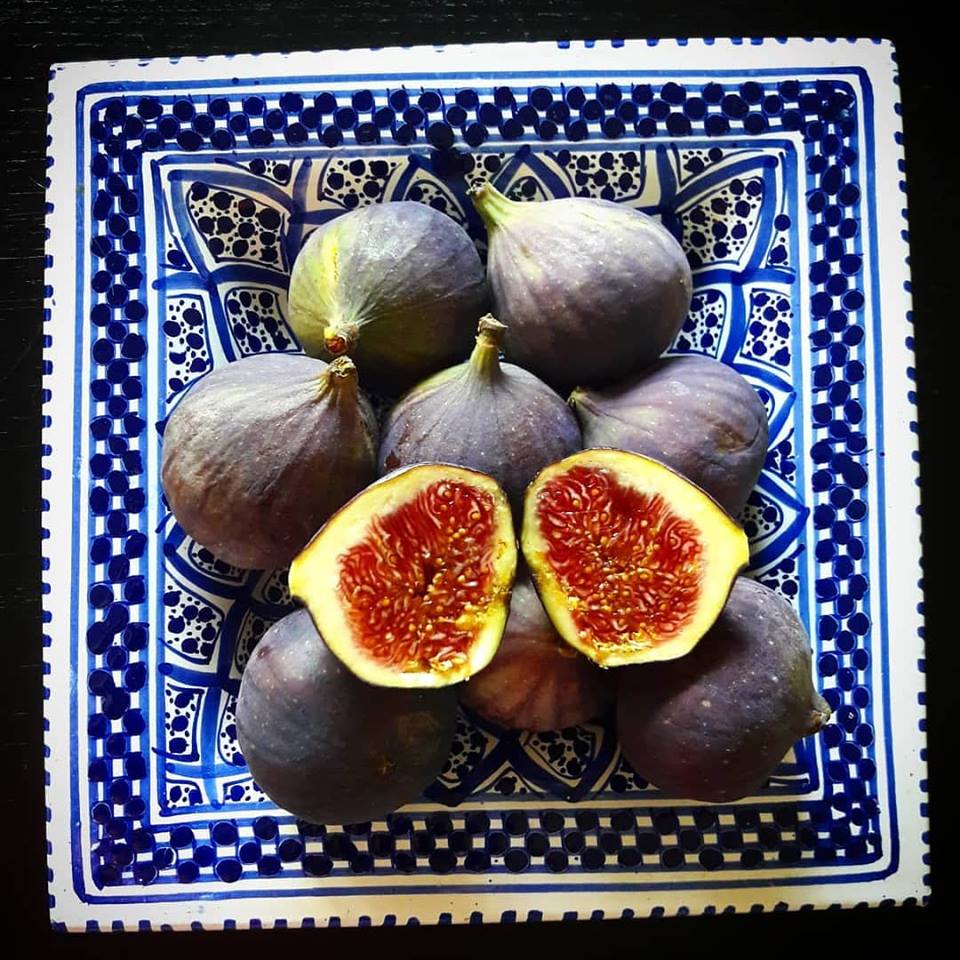 fig-smoothie